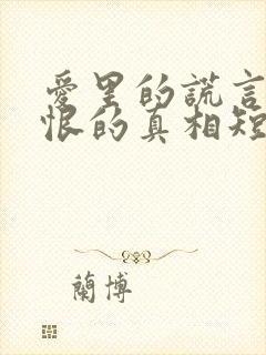 爱里的谎言,仇恨的真相短剧1