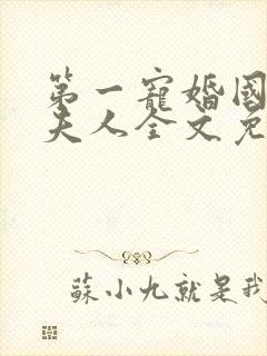 第一宠婚国民少夫人全文免费阅读