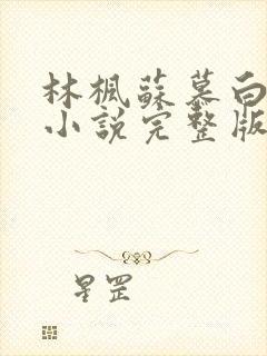 林枫苏慕白穿越小说完整版封面