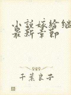 小说嫁给继兄后最新章节