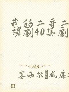 我的二哥二嫂电视剧40集剧情介绍
