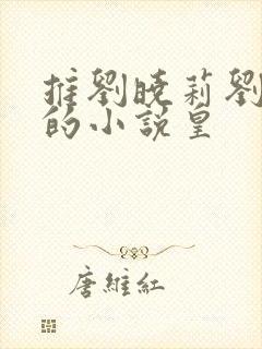 推刘晓莉刘亦菲的小说皇