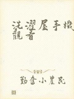 洗濯屋手机在线观看