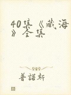 40集《藏海传》全集