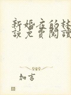 新婚夜的林洁小说免费阅读最新章节