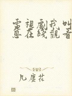 电视剧我叫赵出息在线观看全集免费封面