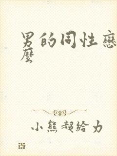 男的同性恋叫什么