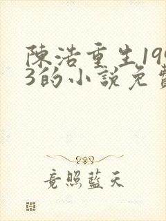 陈浩重生1993的小说免费阅读封面