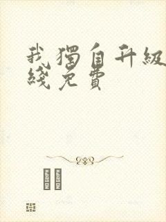 我独自升级 在线免费