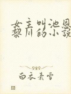 女主叫池恩宁楚黎川的小说