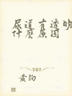 尿道有透明液体什么原因