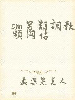 sm另类调教视频网站