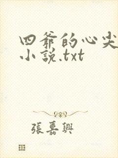 四爷的心尖宠妃小说.txt封面