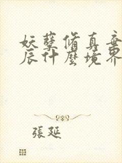 妖孽修真弃少叶辰什么境界封面