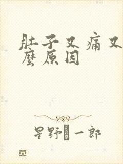 肚子又痛又拉什么原因