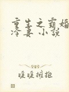 重生之霸婚豪门冷妻 小说