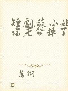 短剧,苏小姐,你老公掉了