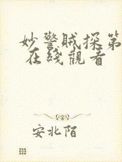 妙警贼探第一季 在线观看