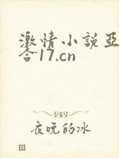 激情小说亚洲综合17.cn