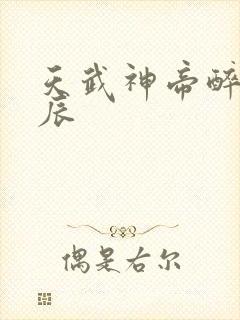 天武神帝醉梦星辰