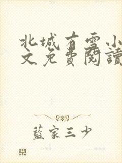 北城有雪小说全文免费阅读全文封面