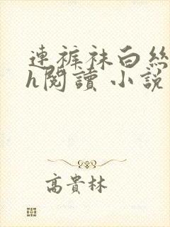 连裤袜白丝小说h阅读 小说封面