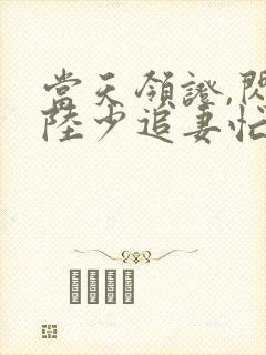 当天领证,闪婚陆少追妻忙短剧免费观看