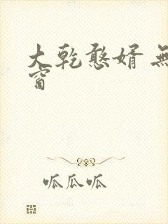 大乾憨婿 无弹窗