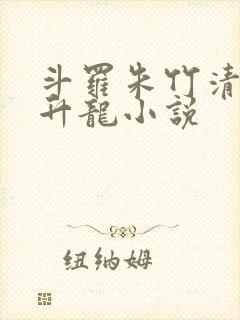 斗罗朱竹清被迫升龙小说