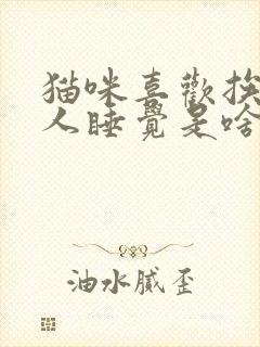 猫咪喜欢挨着主人睡觉是啥原因