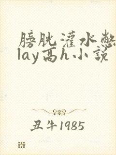 膀胱灌水憋尿play高h小说