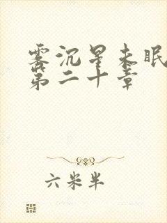 雾沉星未眠小说第二十章封面