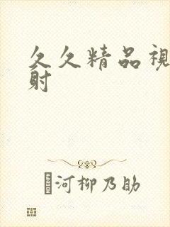 久久精品视频内射