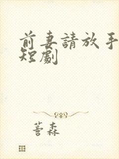 前妻请放手许磊短剧