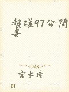 超碰97公开人妻