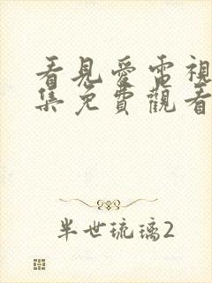 看见爱电视剧全集免费观看完整版