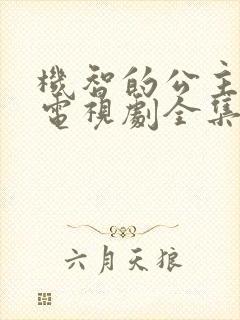 机智的公主殿下电视剧全集免费观看