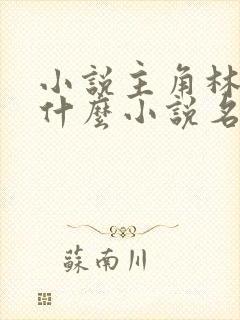 小说主角林羽是什么小说名