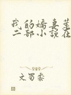 我的娇妻叶晨第二部小说在线阅读