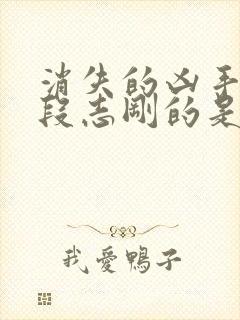 消失的凶手杀死段志刚的是谁