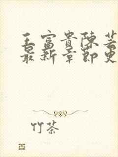 王富贵陈芸小说最新章节更新时间