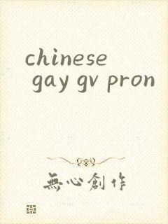 chinese gay gv pron