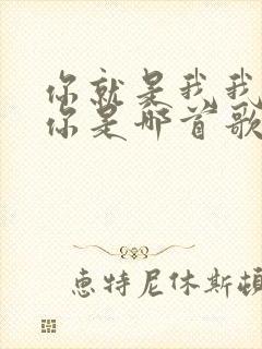 你就是我我就是你是哪首歌的歌词