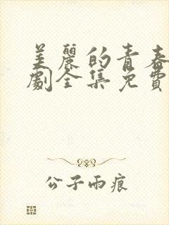 美丽的青春电视剧全集免费观看