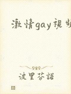 激情gay视频封面