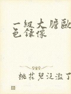 一级大胆欧美黄色录像