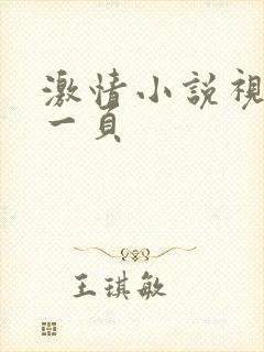 激情小说视频第一页封面