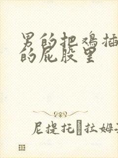 男的把鸡插进女的屁股里