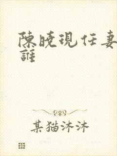 陈晓现任妻子是谁