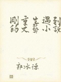 刚重生遇到朱琳的文艺小说